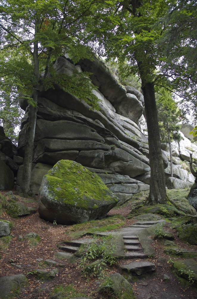 Stufen zum Waldsteingipfel