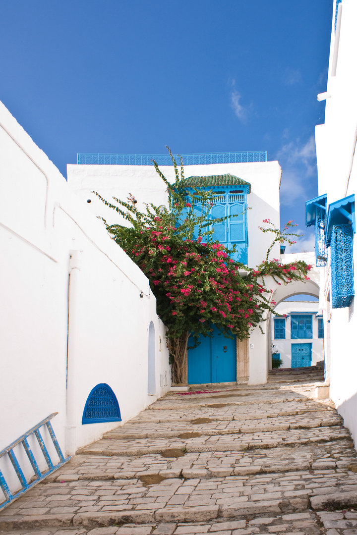 Stufengasse in Sidi-Bou-Said