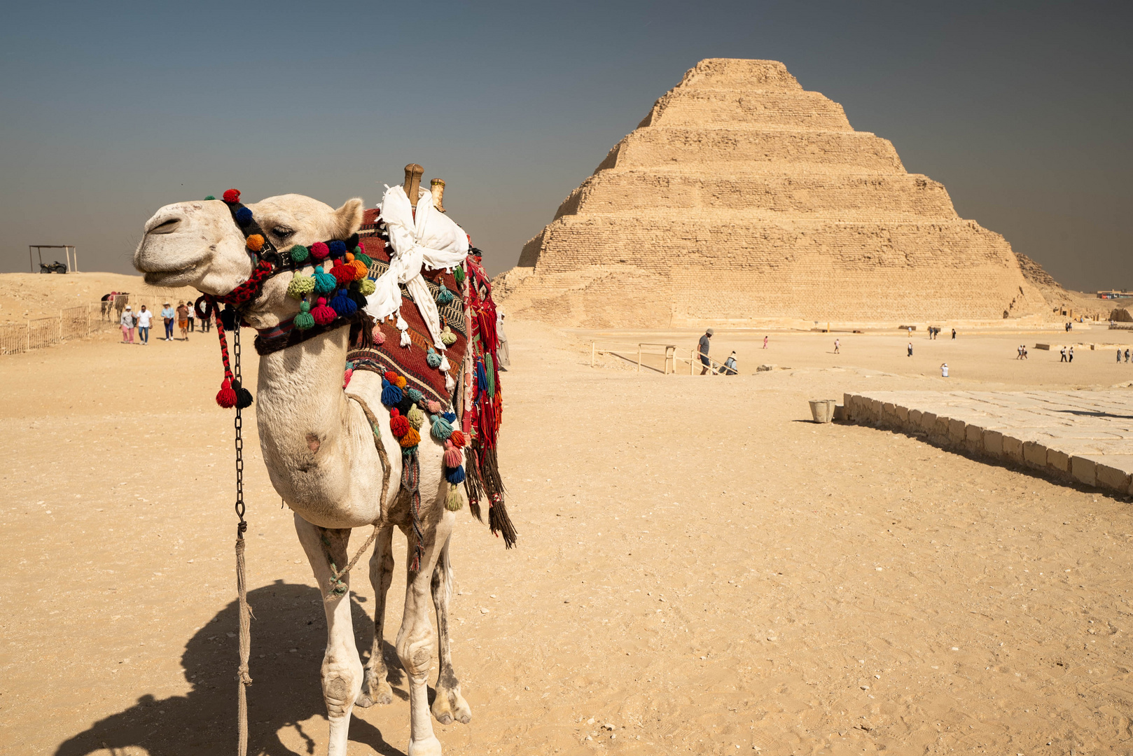 Stufenpyramide und Höcker