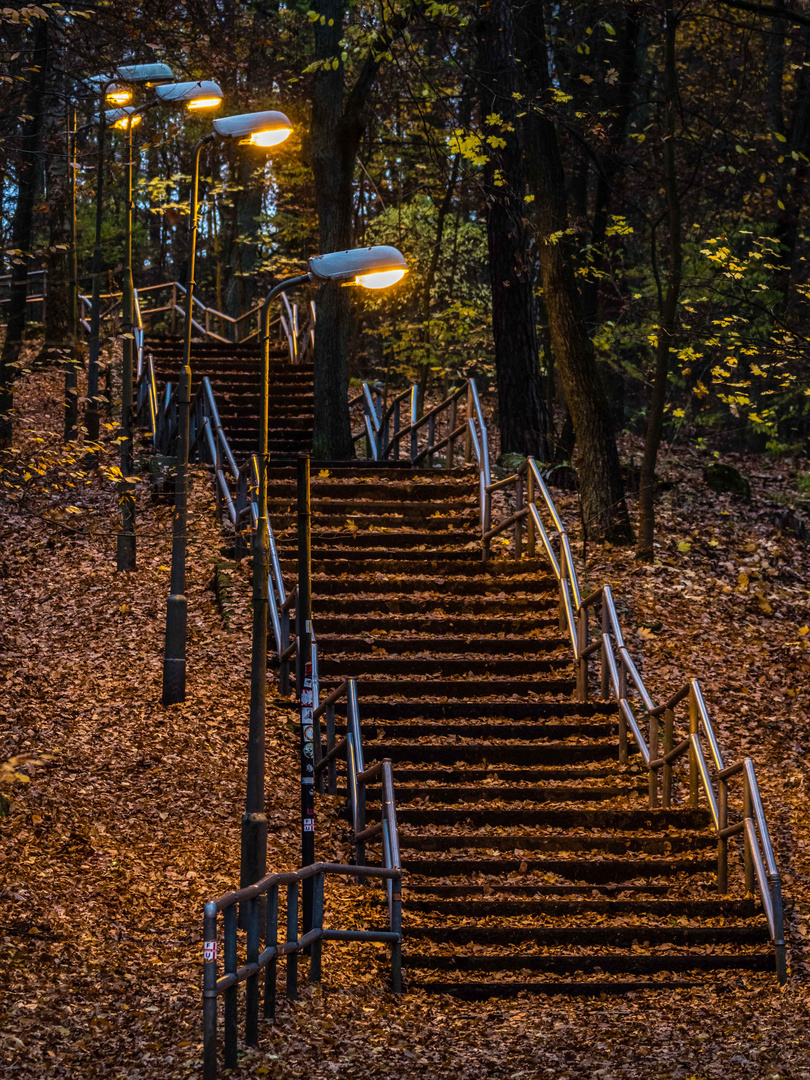 Stufenweise aus dem Herbst in den Winter