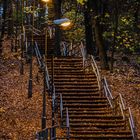 Stufenweise aus dem Herbst in den Winter