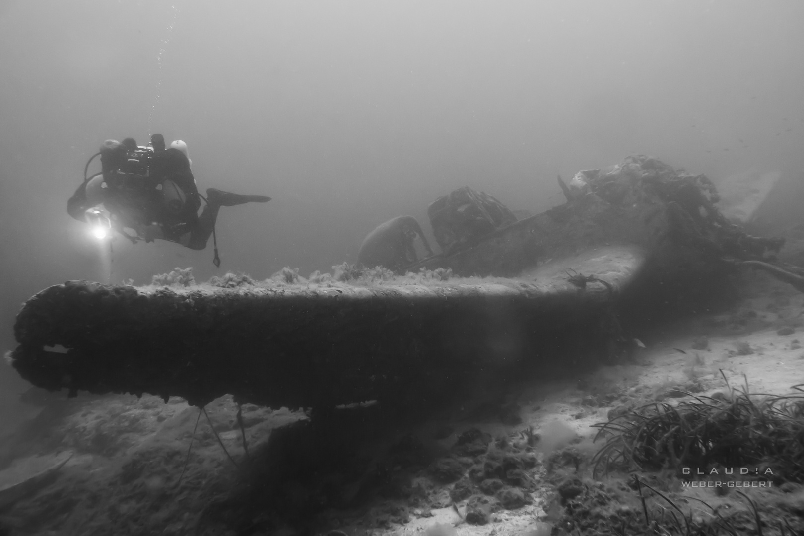 Stuka Bomber in Kroatien