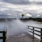 STUMM KREISCHEND BLOCKIERTE DIE WASSERWAND DEN EINZIGEN RÜCKWEG. HINTER MIR WAR DAS MEER.