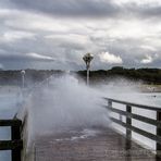 STUMM KREISCHEND BLOCKIERTE DIE WASSERWAND DEN EINZIGEN RÜCKWEG. HINTER MIR WAR DAS MEER.