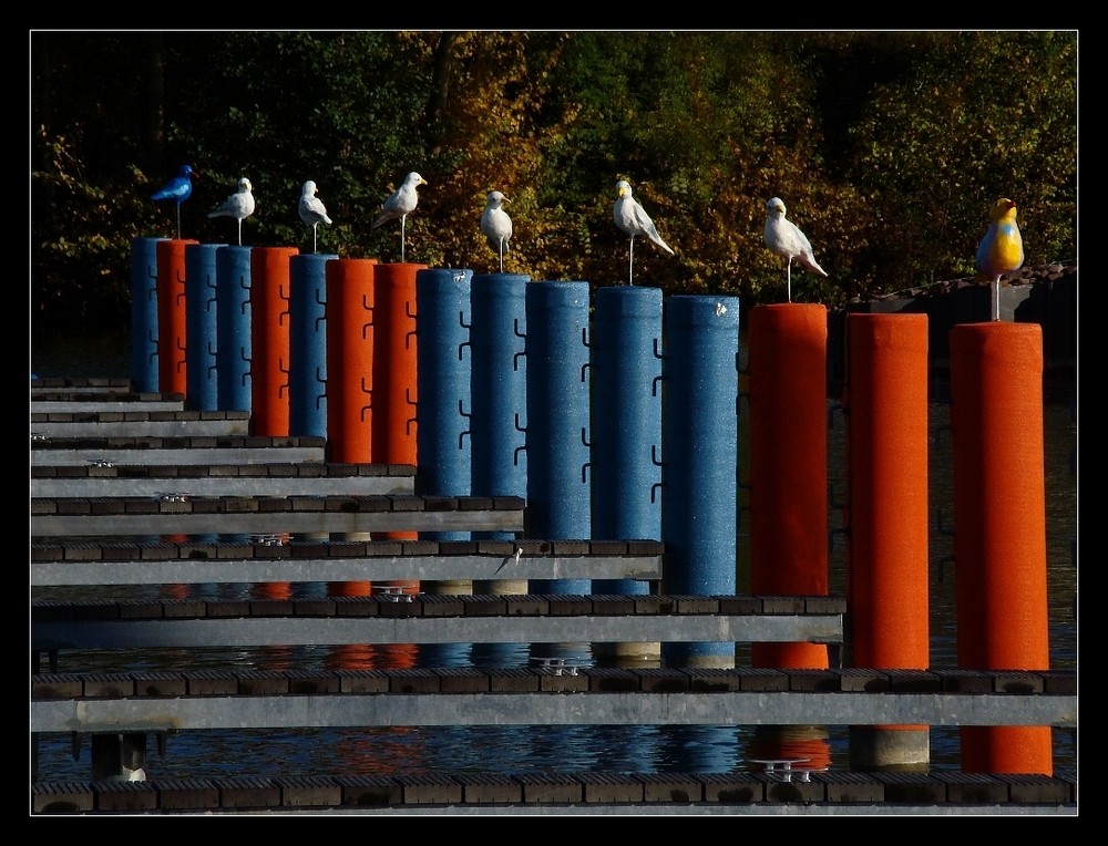 Stumme Vögel...