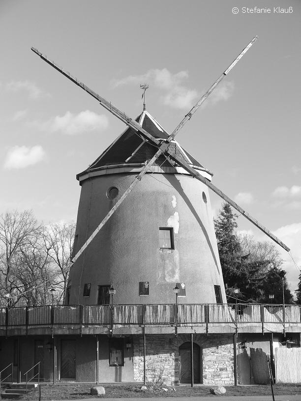 "Stummelflügel" - Leutewitzer Windmühle, Dresden