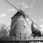 "Stummelflügel" - Leutewitzer Windmühle, Dresden