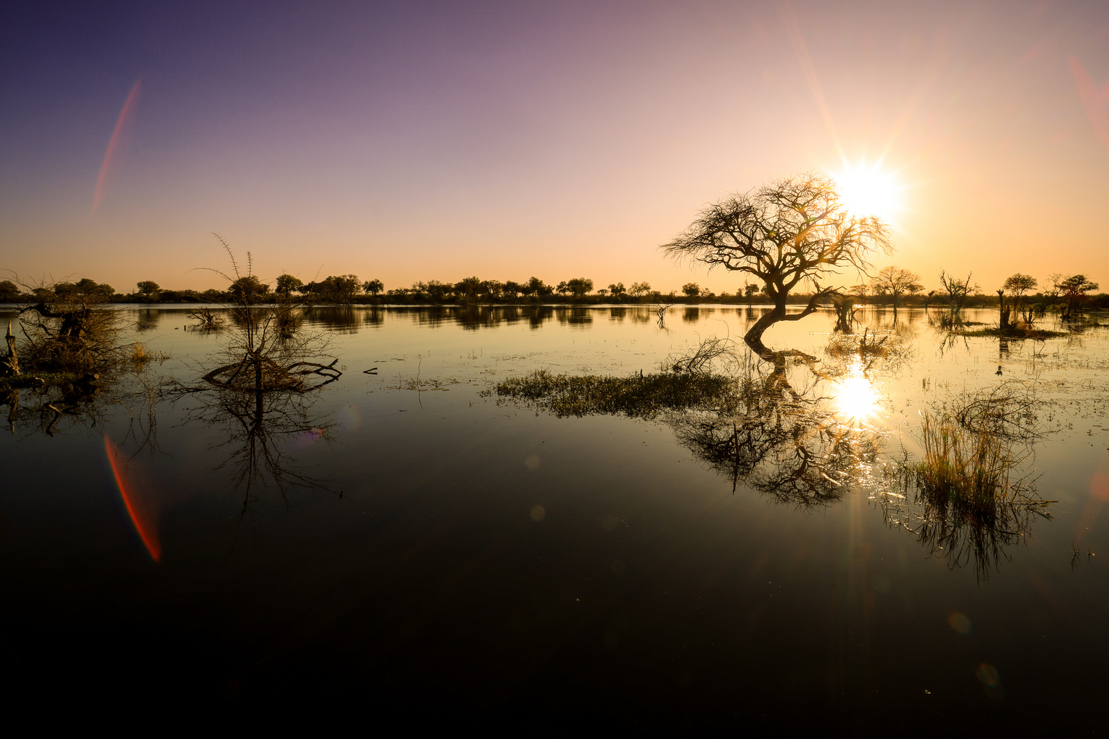 stummer Blick aus dem Zelt auf den Okavango