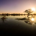 stummer Blick aus dem Zelt auf den Okavango