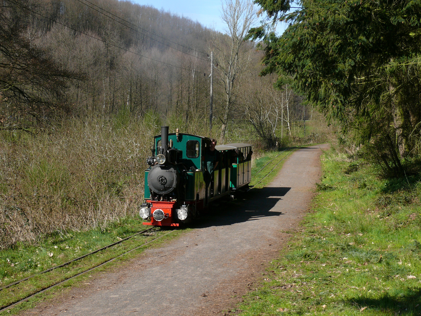 Stumpfwaldbahn im Pfälzer Wald