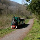 Stumpfwaldbahn im Pfälzer Wald