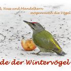 Stunde der Wintervögel