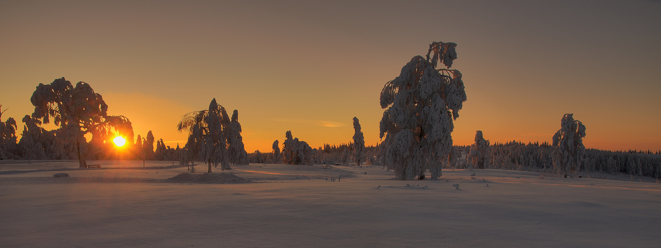 stunning morning light