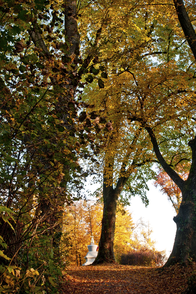 Stupa eingerahmt von Blättern und Herbstlicht