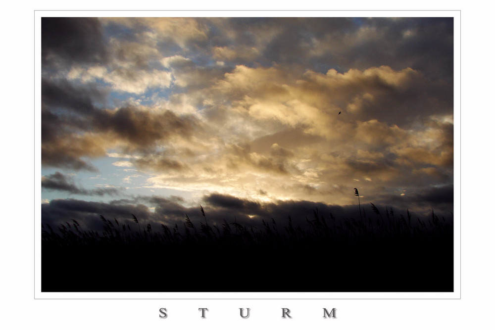 Sturm