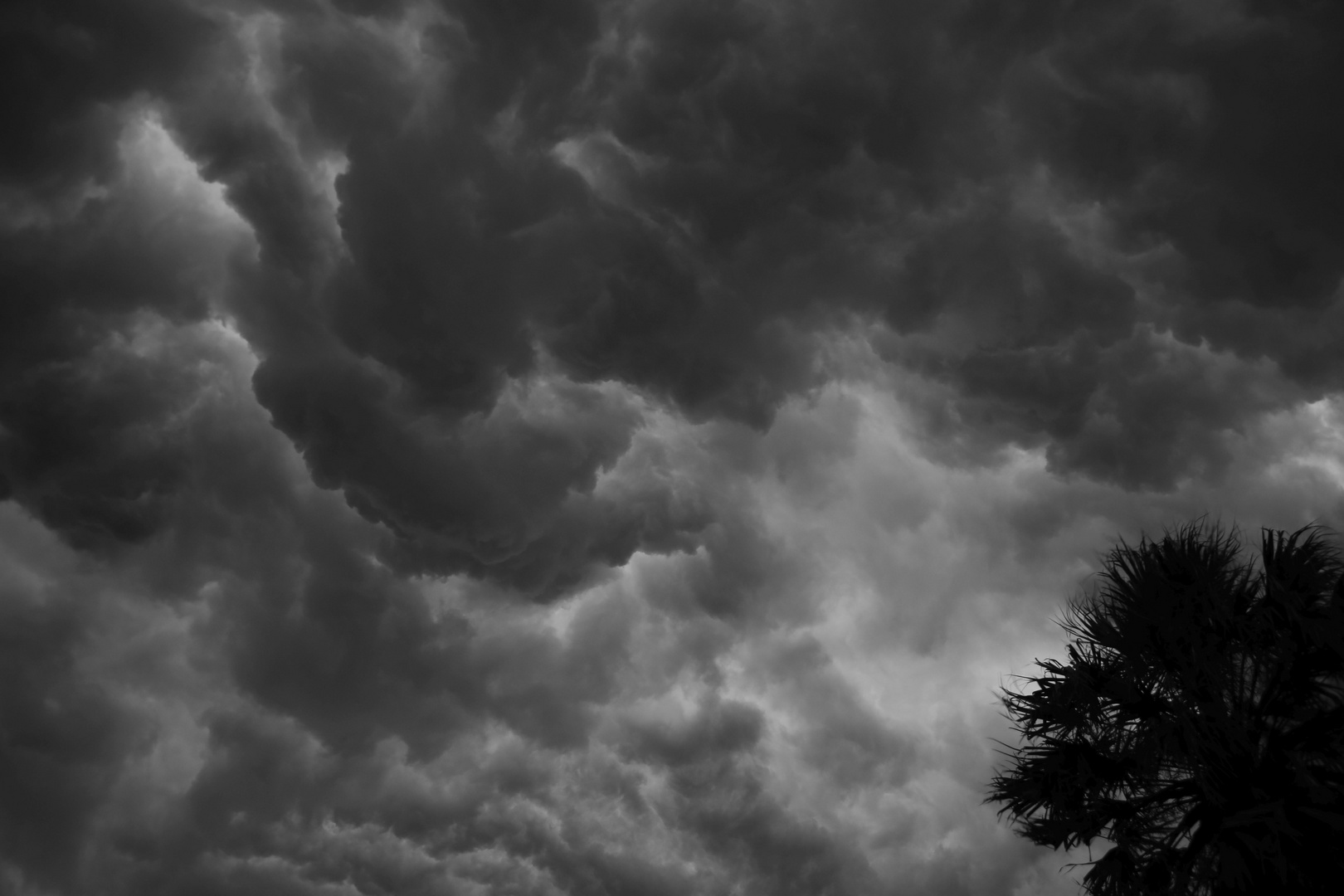 Sturm