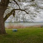 Sturm am Bodensee - bunt oder...