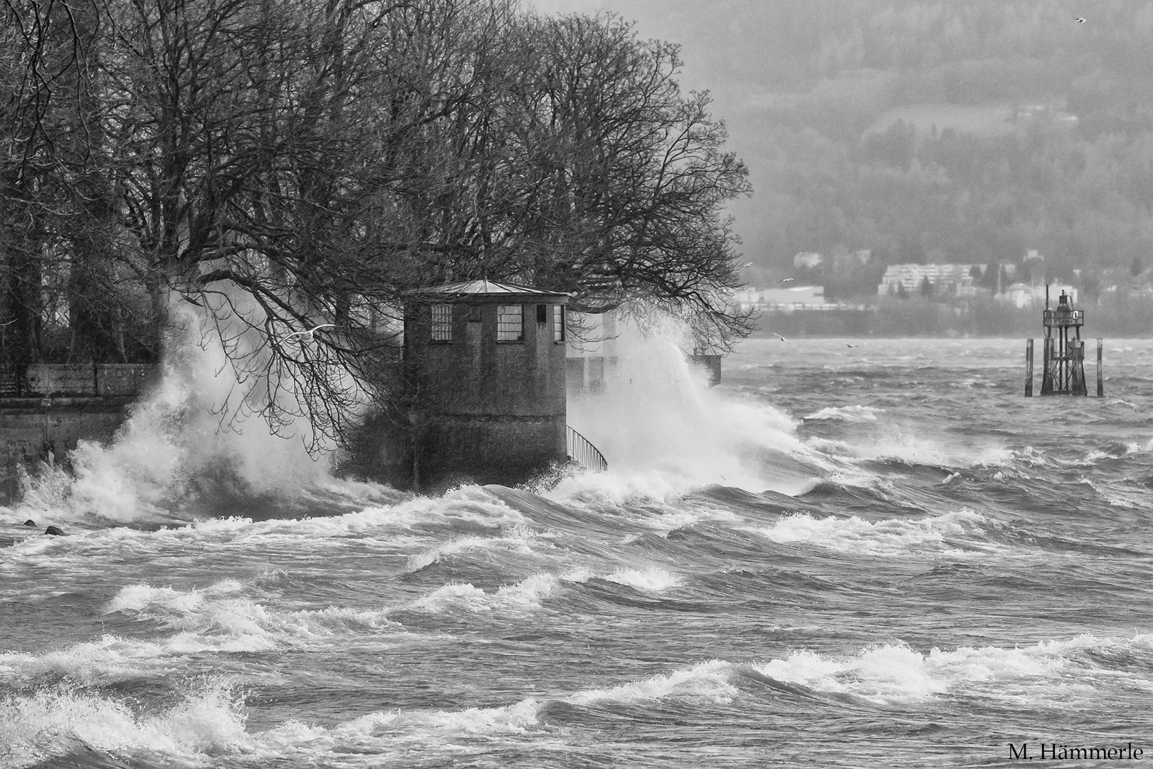 Sturm am Bodensee