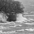 Sturm am Bodensee