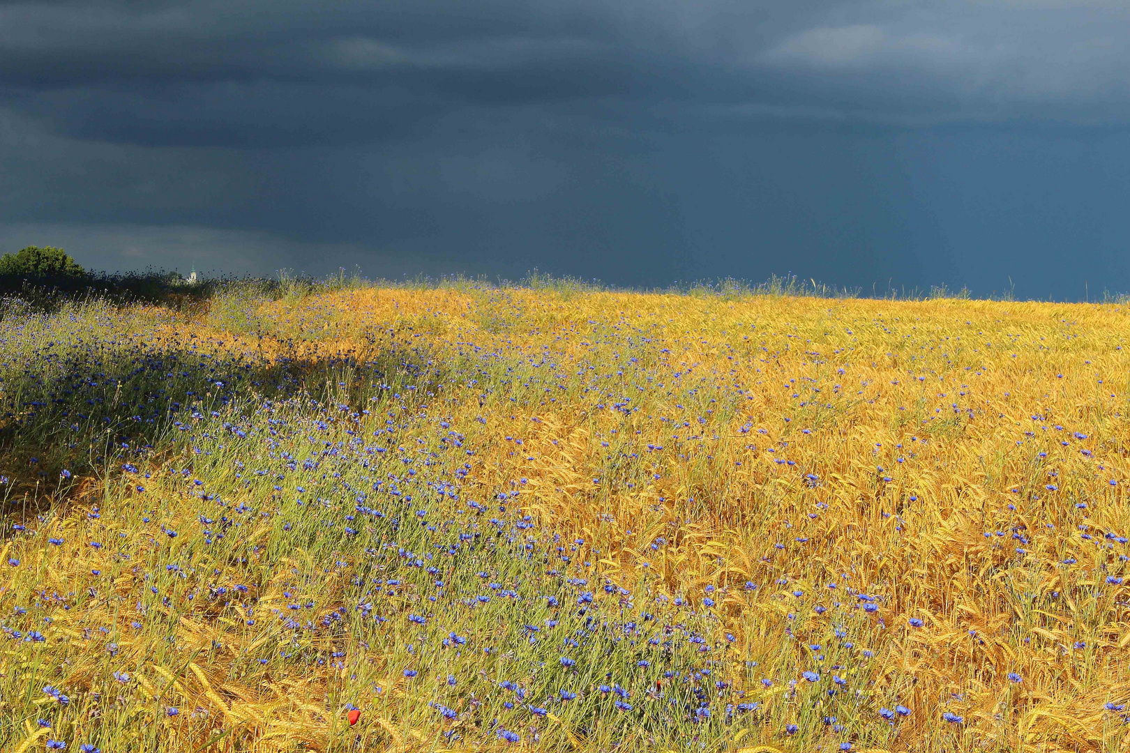 Sturm am Horizont