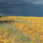 Sturm am Horizont