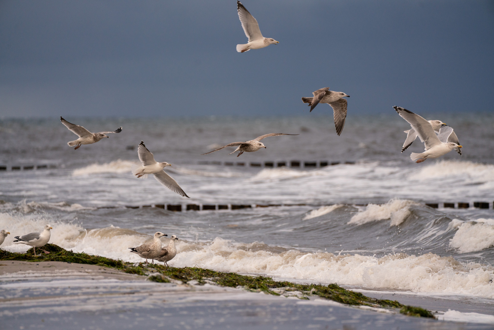 Sturm am Ostseestrand