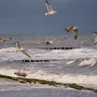 Sturm am Ostseestrand