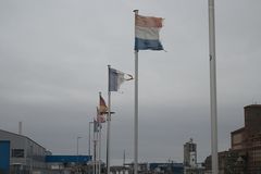 Sturm am Rheinhafen