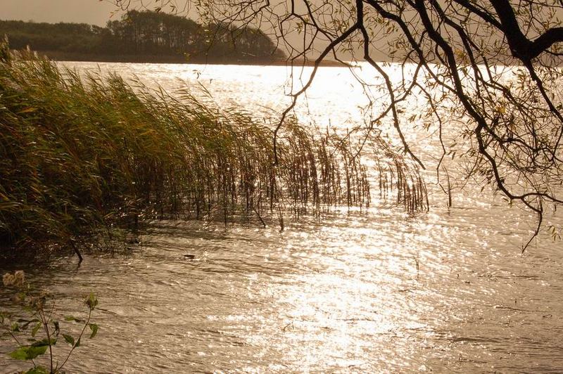 Sturm am Selenter See