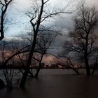 Sturm an der Donau