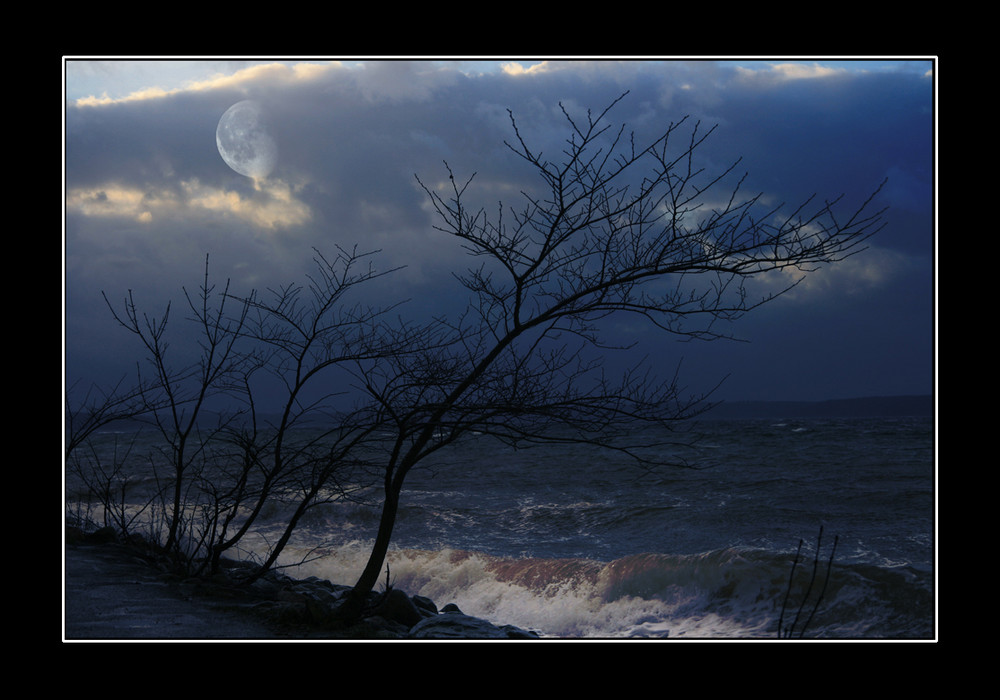 Sturm an der Ostsee