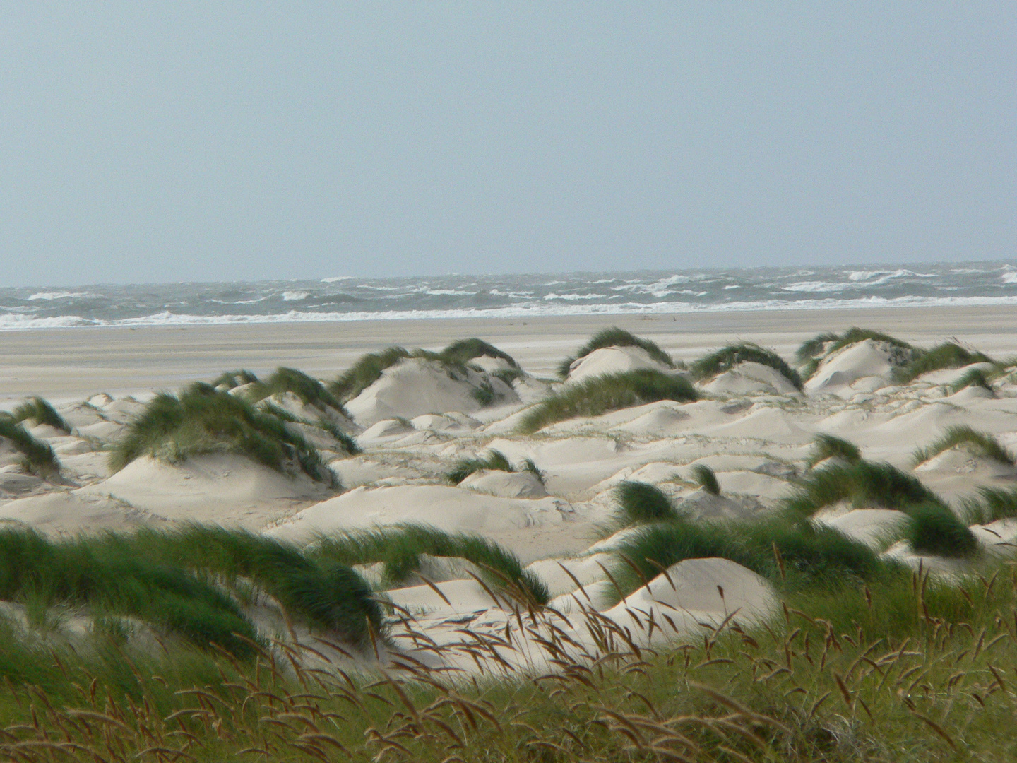 Sturm auf Amrum