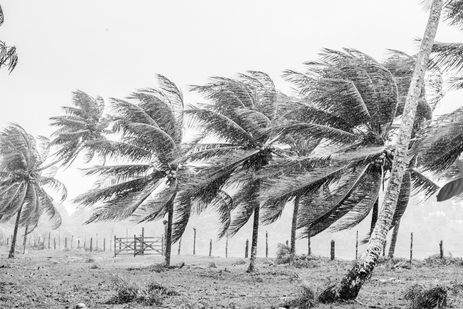 Sturm auf Boipeba, Brasilien