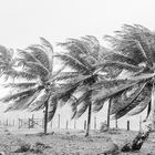 Sturm auf Boipeba, Brasilien