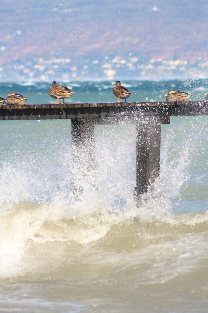 Sturm auf dem Gardasee