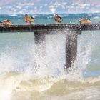 Sturm auf dem Gardasee