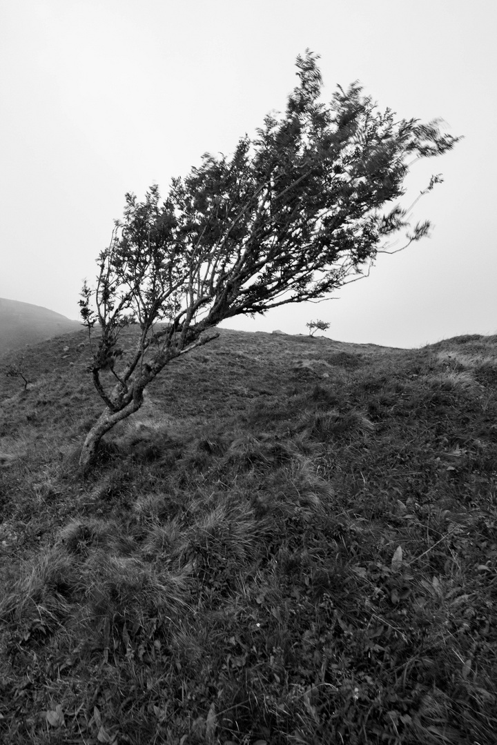 Sturm auf dem Hohneck