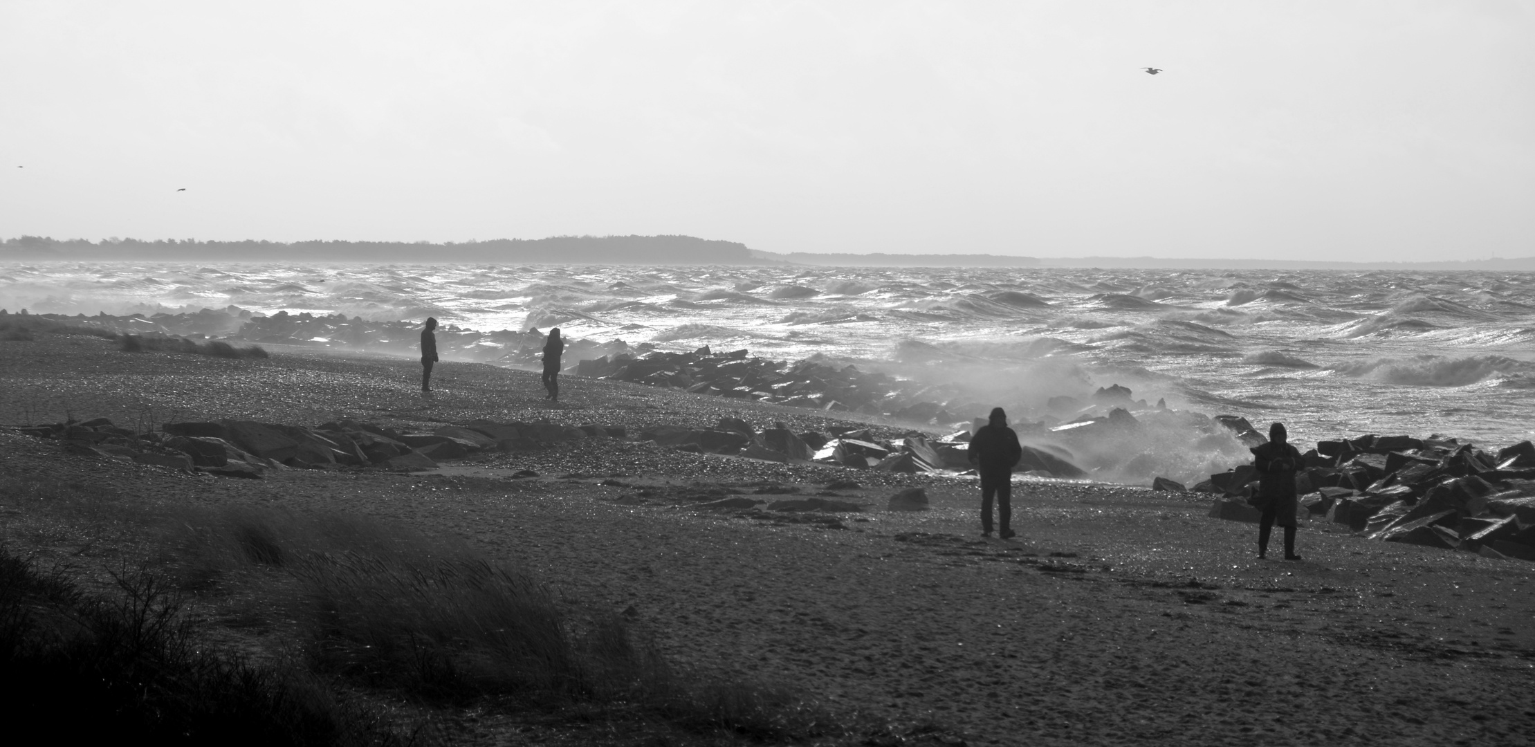 Sturm auf der Insel