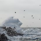 Sturm auf Helgoland