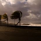 Sturm auf La Palma