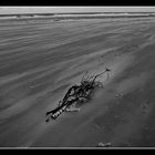 Sturm auf Langeoog