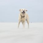 Sturm aus Sand und Salz