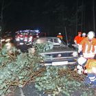 Sturm: Auto auf Baum ist mal was anderes, ...