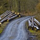 Sturm Friederikes Spuren werden beseitigt