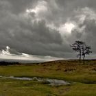 Sturm im Dartmoor England