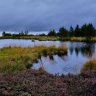 Sturm im Hohen Venn