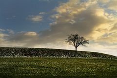 Sturm im Januar