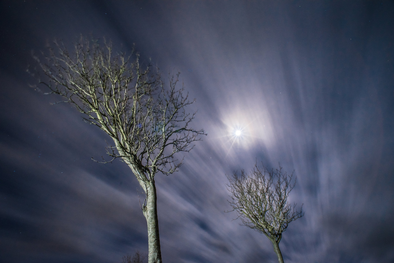 Sturm im Mondlicht