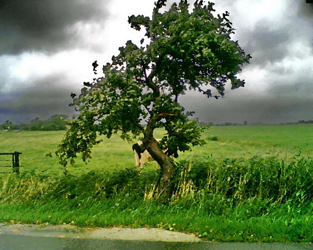 Sturm im Norden