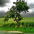 Sturm im Norden